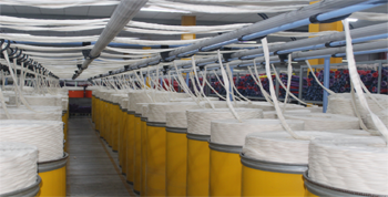 Organic Cotton Yarn